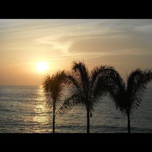 Meet your Posher, Kristy